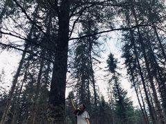 -硗碛藏寨·神木垒景区