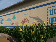 -秦皇岛乐岛海洋王国