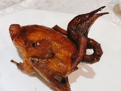 手撕乳鸽-琬苑鸽庄·川粤融合菜(解放碑总店)