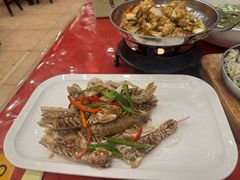 -侬佳蒸菜馆(听潮店)
