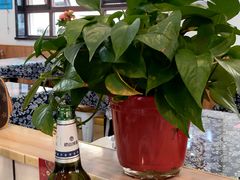 -八两八金·莱芜特色炒鸡(市南漳浦路店)
