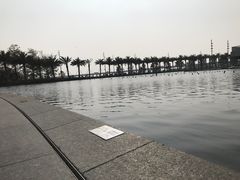 -宝安西湾红树林湿地公园