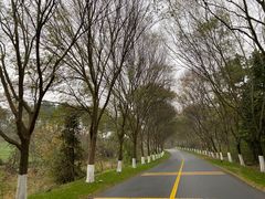 -天目湖涵田度假村