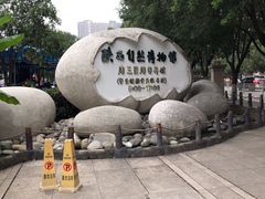 -陕西自然博物馆