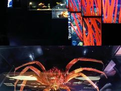 -同济大学四平路校区深海探索馆