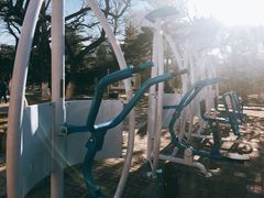 健身器材-沈阳中山公园