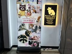 -浣熊柯尔鸭土拨鼠·电玩咖