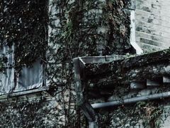 -溪口-滕头旅游景区