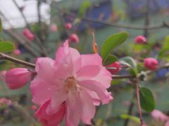 -徐家汇源景区-衡山公园