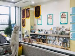 -谐和贝康宠物医院24小时·宠保定点(急重症转诊中心)