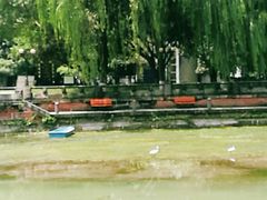 -温江公园