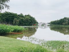 -映月湖公园