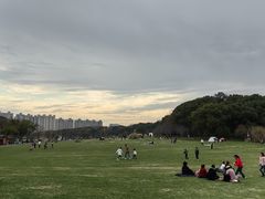 -昆山城市生态森林公园