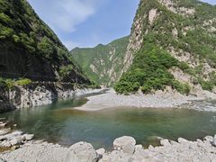 -黑河国家森林公园