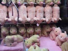 -小象猛犸(炫地购物中心店)