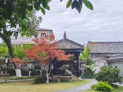 -墨池公园