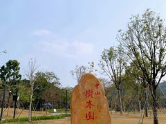-中山市树木园