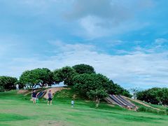 -红花山公园
