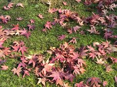 -天龙寺