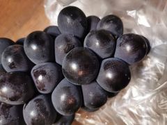 -百果园PAGODA(应元路店)