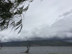 -才村湿地公园