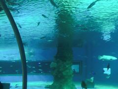 -北戴河圣蓝海洋公园