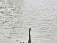 -东华大学(松江校区)