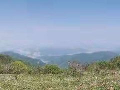 -龙道沟景区