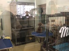 -沐沐家宠物(成寿寺店)