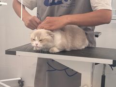 -comecome来吧宠物(奥克斯中心店)