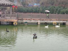 -无锡动物园·太湖欢乐园