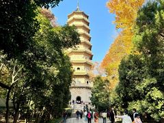 -灵谷景区
