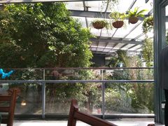 -云境生态园(红谷滩店)