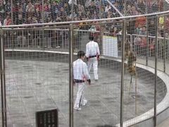 -石家庄市动物园