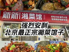 -新新湘菜馆(新中街二条店)