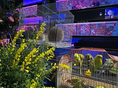 -金田水族花卉市场(银庄大厦店)