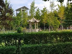 -赵州桥景区