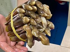 -湛江花园酒店·桃园馆