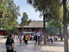 -洛阳白马寺
