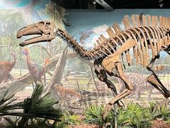 -辽宁古生物博物馆