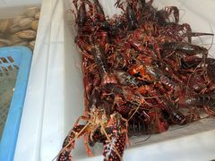 -喝丢一只鞋海鲜烧烤·海肠捞饭(东关街店)