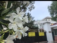 -西郊壹号