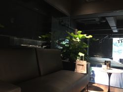 -意念造型