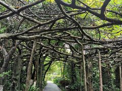 -广西壮族自治区药用植物园