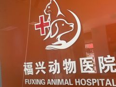 -瑞派福兴宠物医院犬猫全科·骨科·中西医结合(河东店)