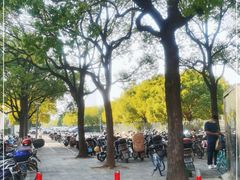 -上海山野camping·户外天幕烧烤·团建拓展营地
