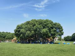 -梁鸿国家湿地公园