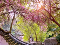 -深圳国际园林花卉博览园