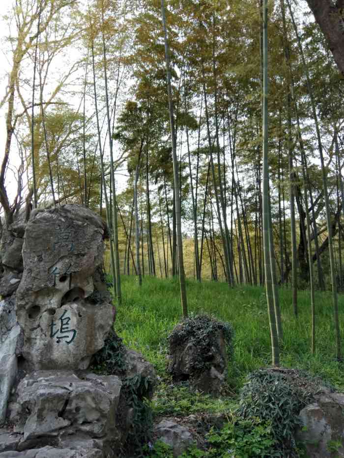 万竹坞-"位于马鞍山市采石矶风景区内的一片竹林. ."-大众点评移动版