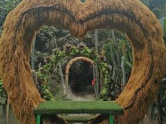 -呀路古热带植物园